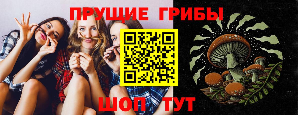 Псилоцибиновые грибы Magic Shrooms  Вход с VPN  Славянск-на-Кубани 